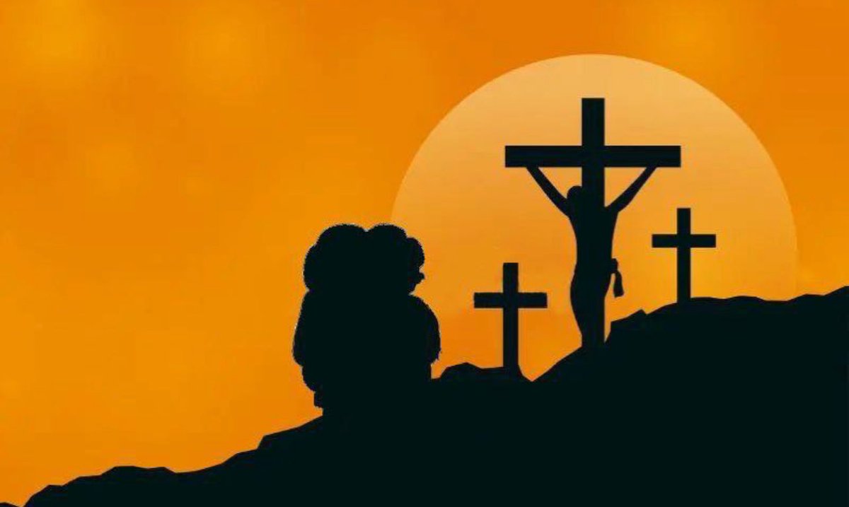 nate fren tweet media