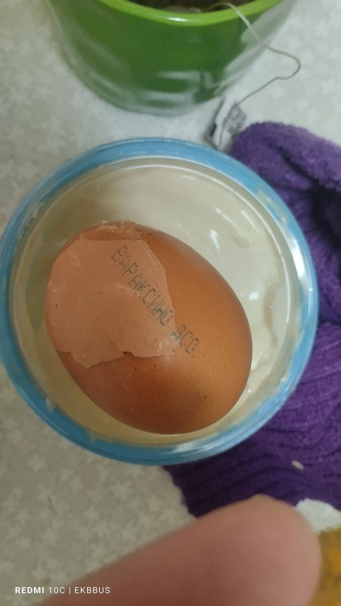 Автобус tweet media