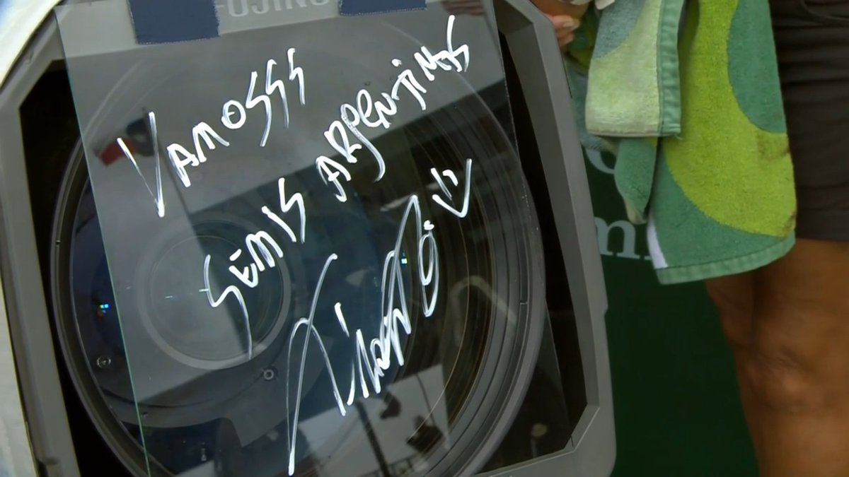 delfi 🐬 tweet media