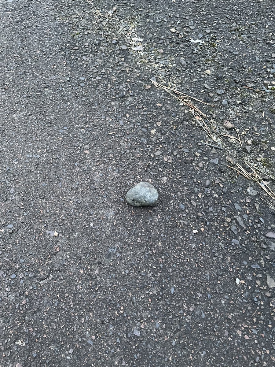 ニャーシャル3世 tweet media