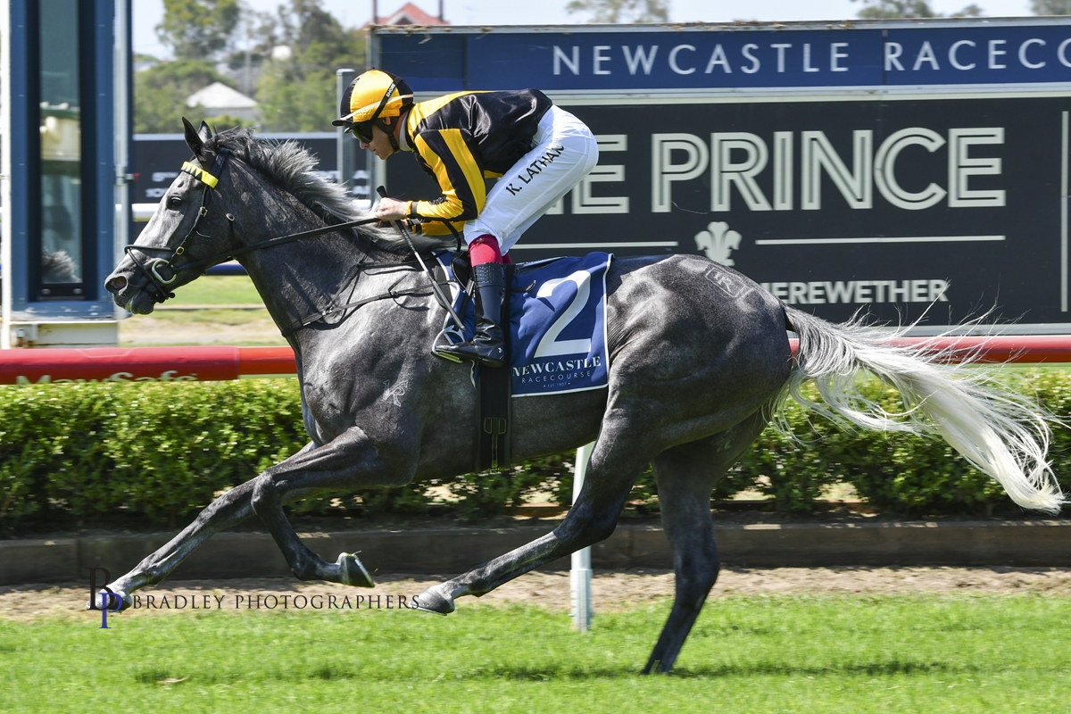 David Pfieffer Racing tweet media