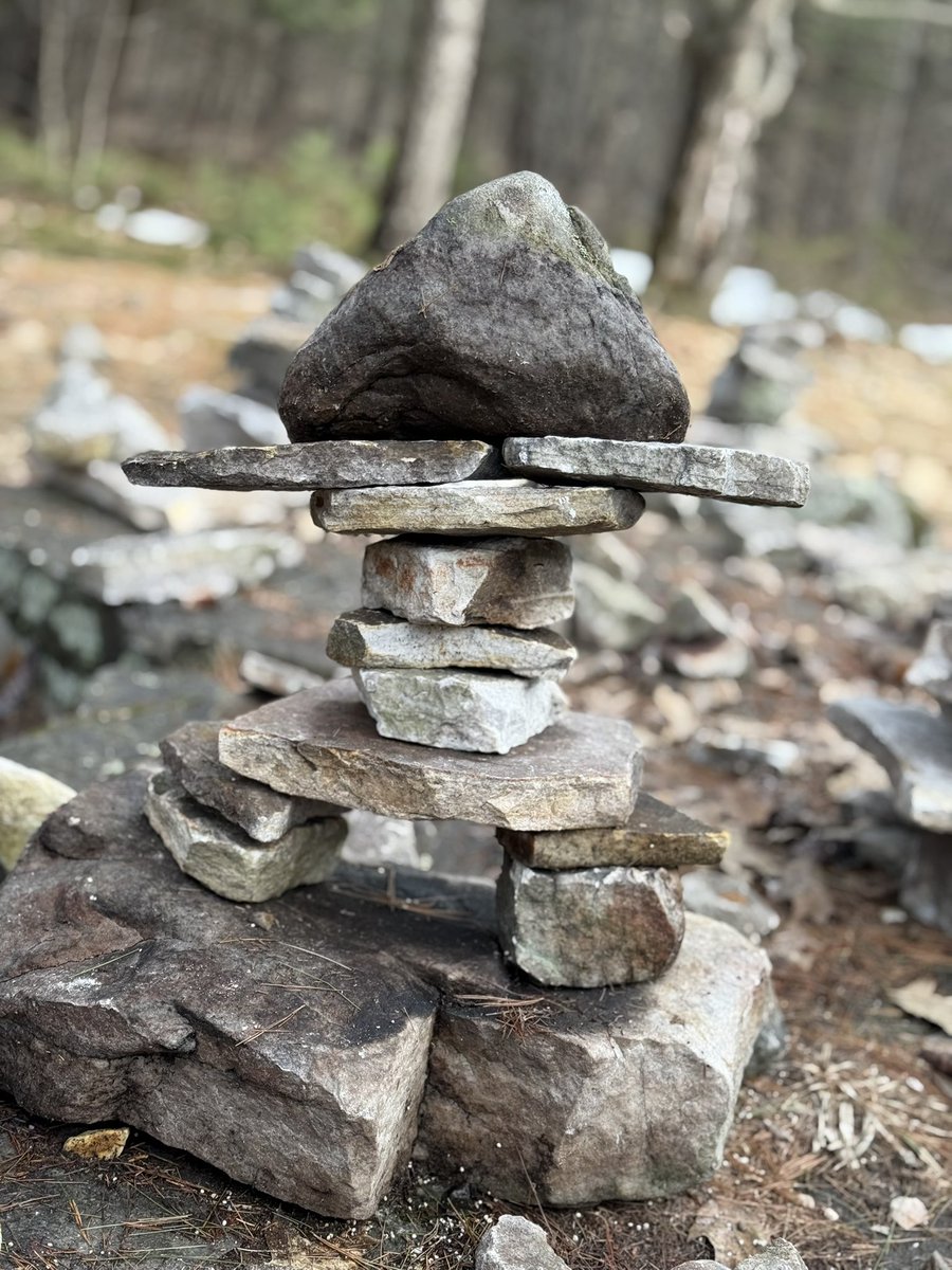 𝖒𝖔𝖌𝖌𝖎𝖓𝖌 tweet media