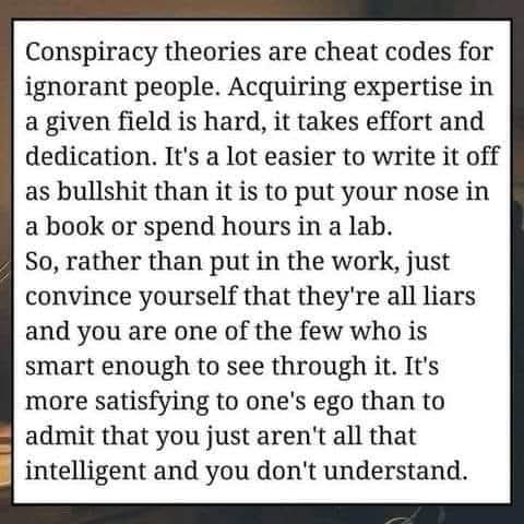 Ocelopilli tweet media