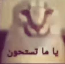 Ali | 銀魂 tweet media