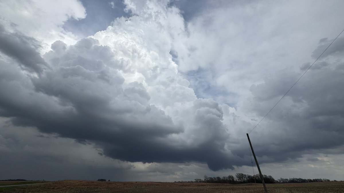 Tornado🌪️ Allie tweet media