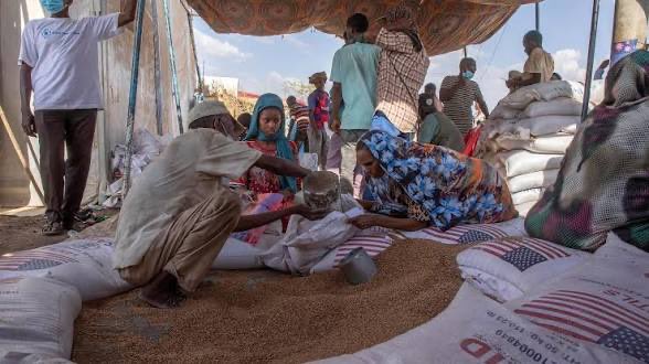 Gal Griot tweet media