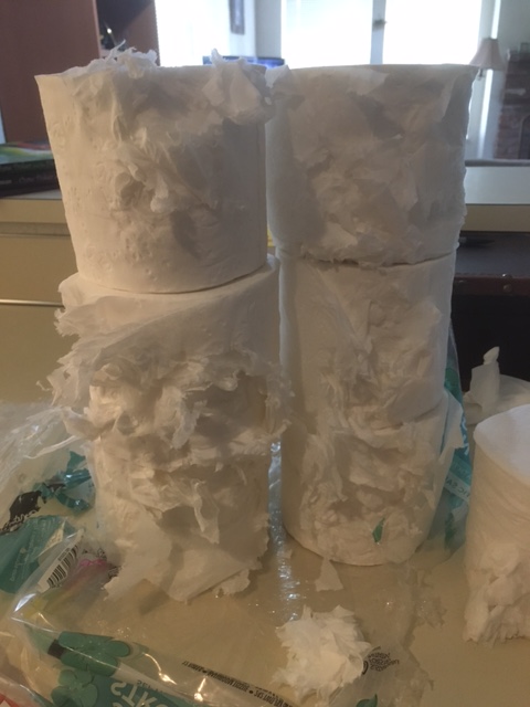 malia_ann's tweet photo. One very good reason why ferrets and toilet paper don't mix. 🤦‍♀️ #ferret #crazy https://t.co/zm6BjtJKvC