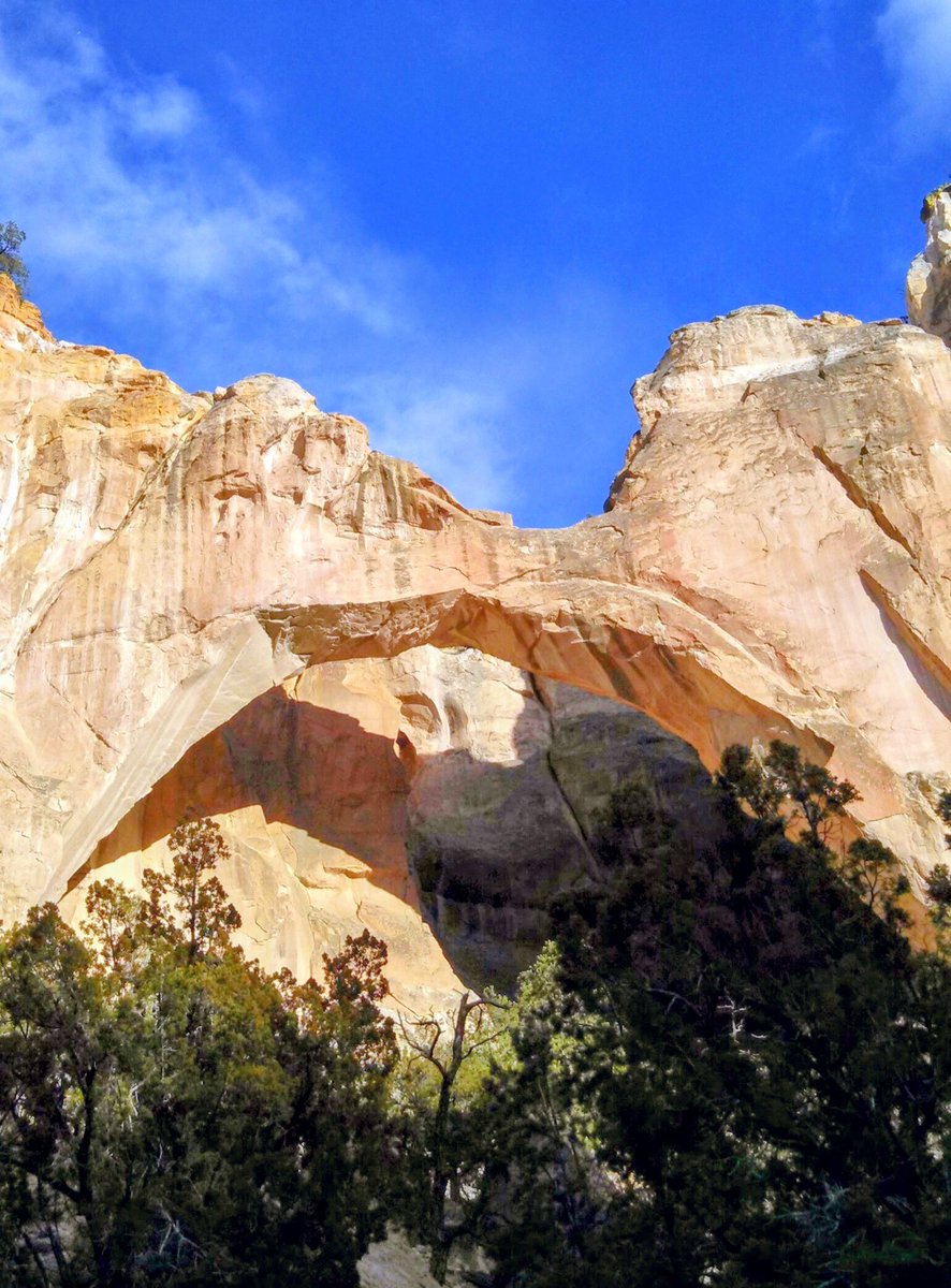 Loralee Logan 🌻🌻🌻 tweet media