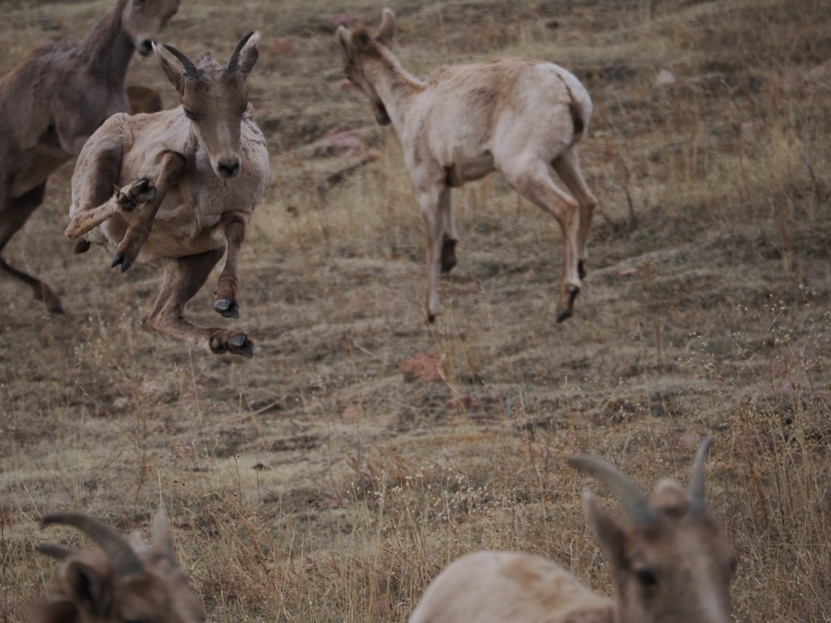 CPW SE Region tweet media