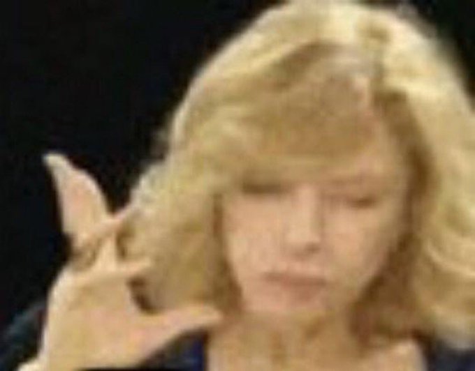 Bruno 🐢 tweet media