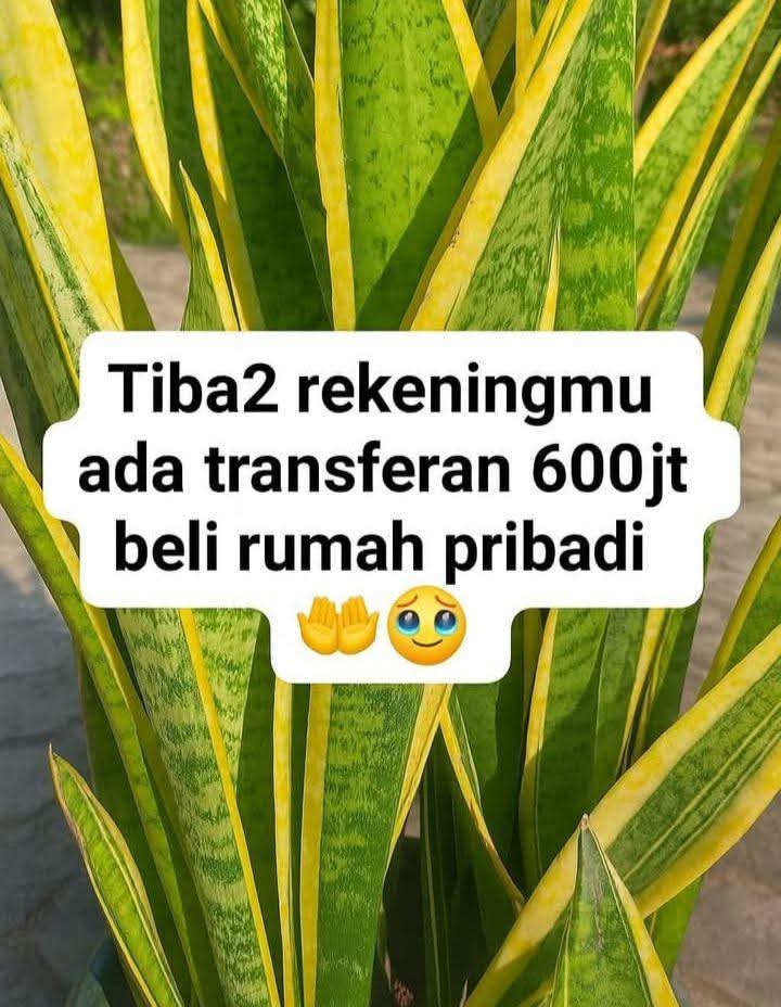 Yuki Eye tweet media