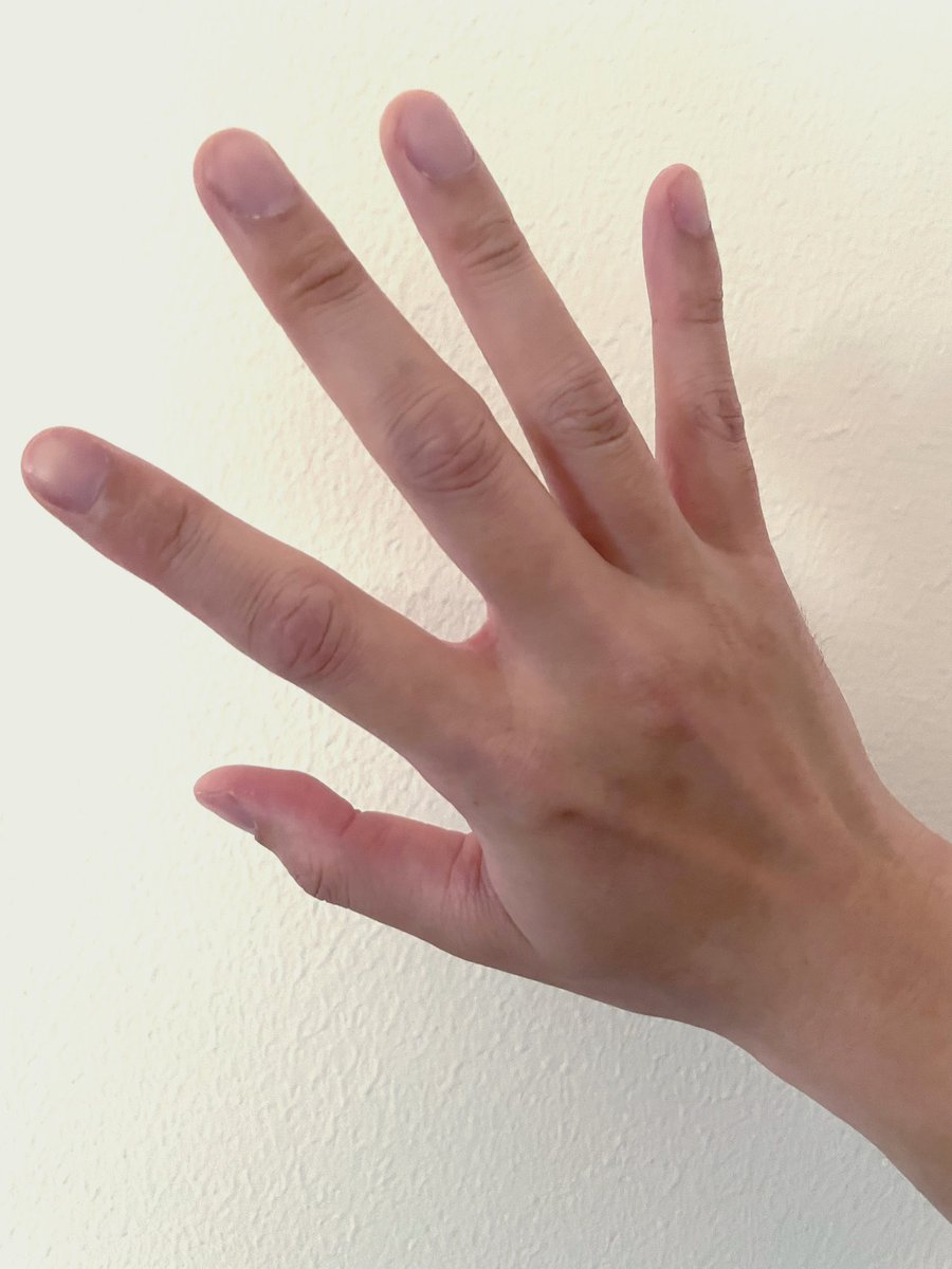 たつきち tweet media