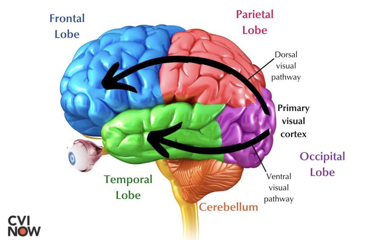 Coach Steve LeDuc tweet media