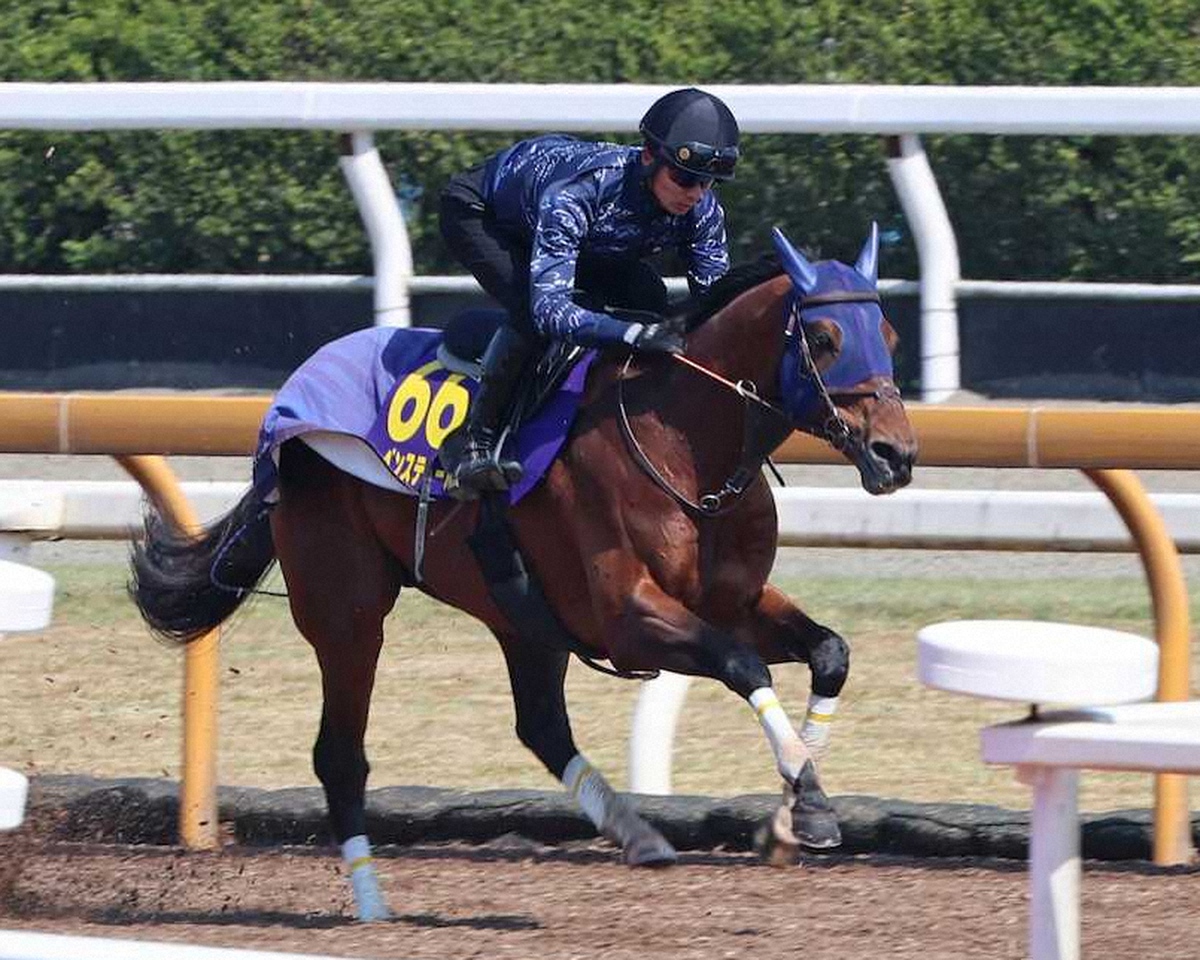 WIN!競馬_総合【公式】 tweet media