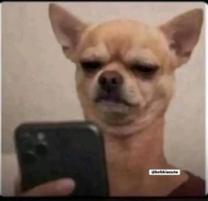 Perry Xau tweet media