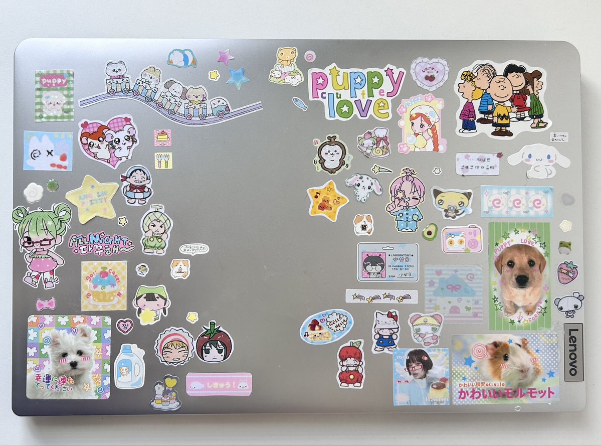 nuba ฅ( ⸝⸝ɞ̴̶̷ ·̫ ‹⸝⸝ᐡ)~ tweet media