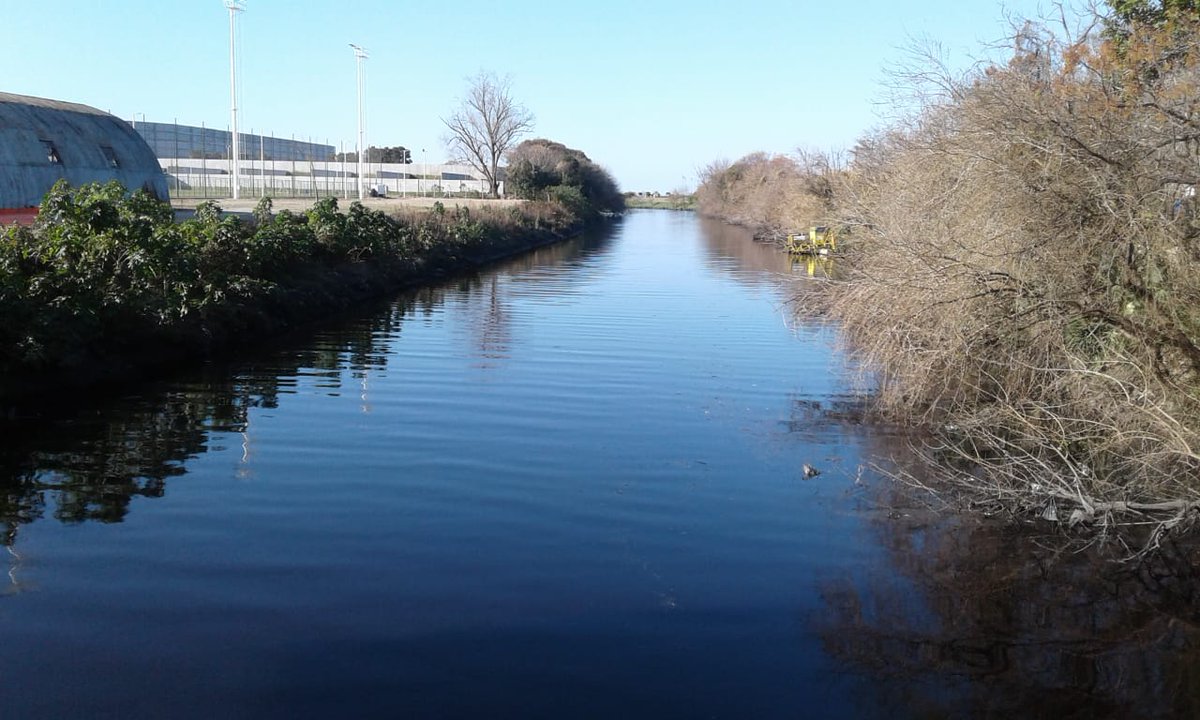 Arroyos Libres ® tweet media