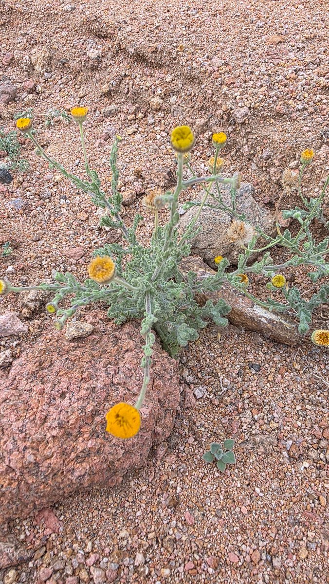 سعد بن صالح العساف tweet media