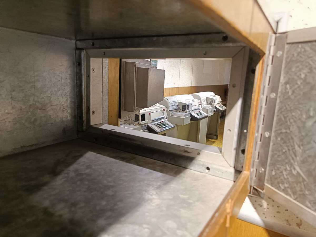 Roja Lotfi 🇮🇷🇵🇸 tweet media