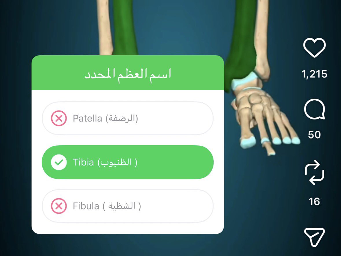 Sunflower tweet media