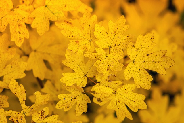 Tony Rigsby tweet media