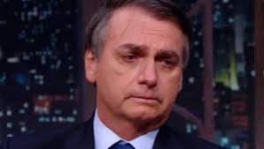 Gato Feio tweet media