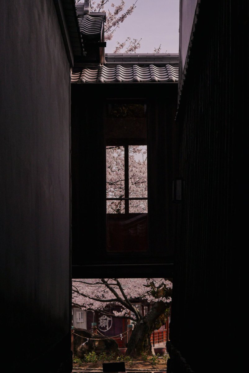 火と水。 tweet media