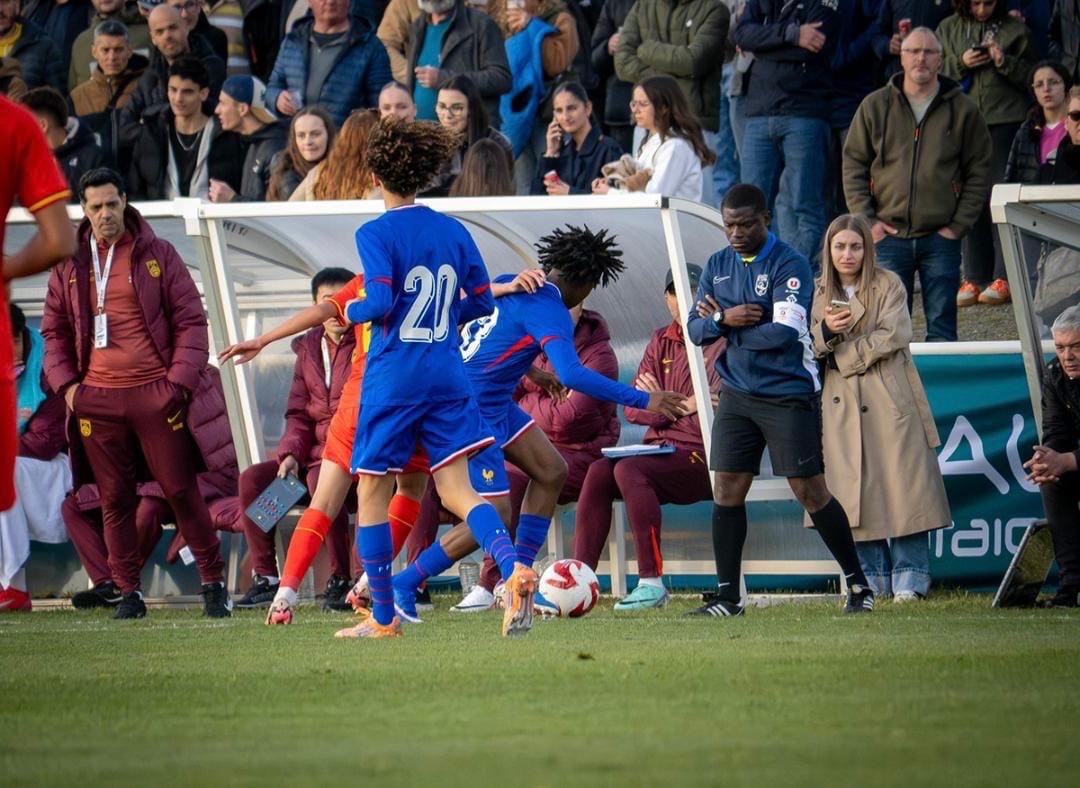 AllezLesLions tweet media