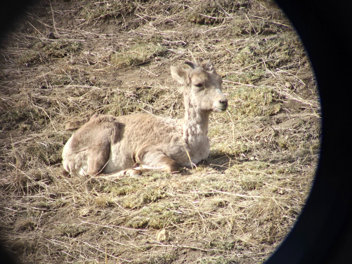 CPW SE Region tweet media