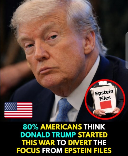 PlowOn 🦉 tweet media