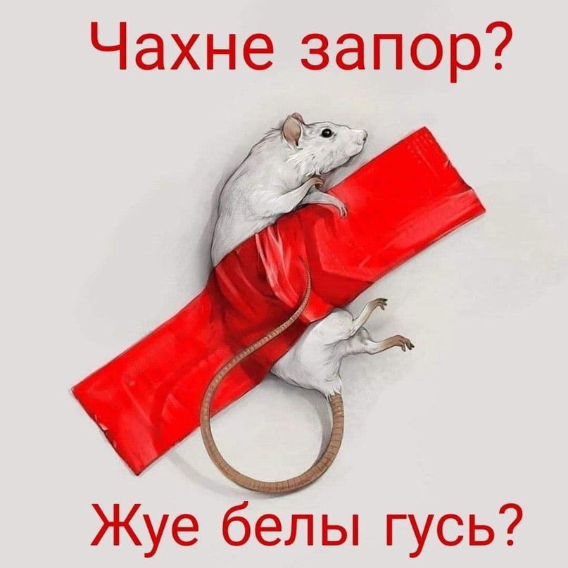 Igor Kiritchenko tweet media