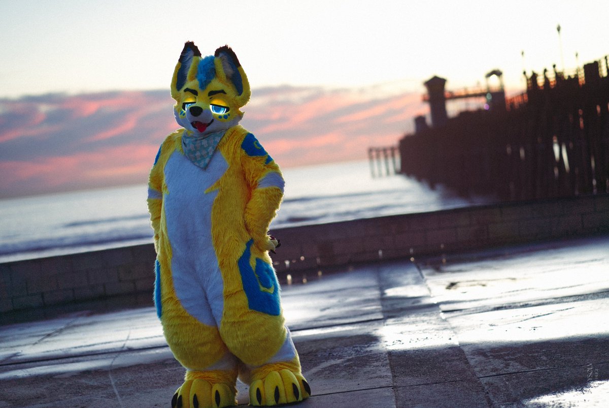 @CyberKitsune.net on bsky tweet media