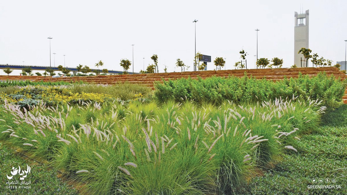 جريدة الرياض tweet media