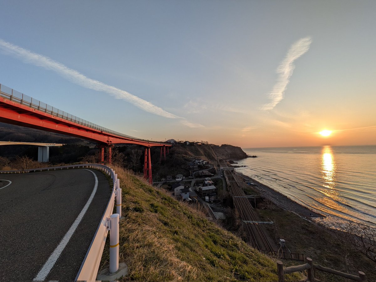 雪割草 tweet media