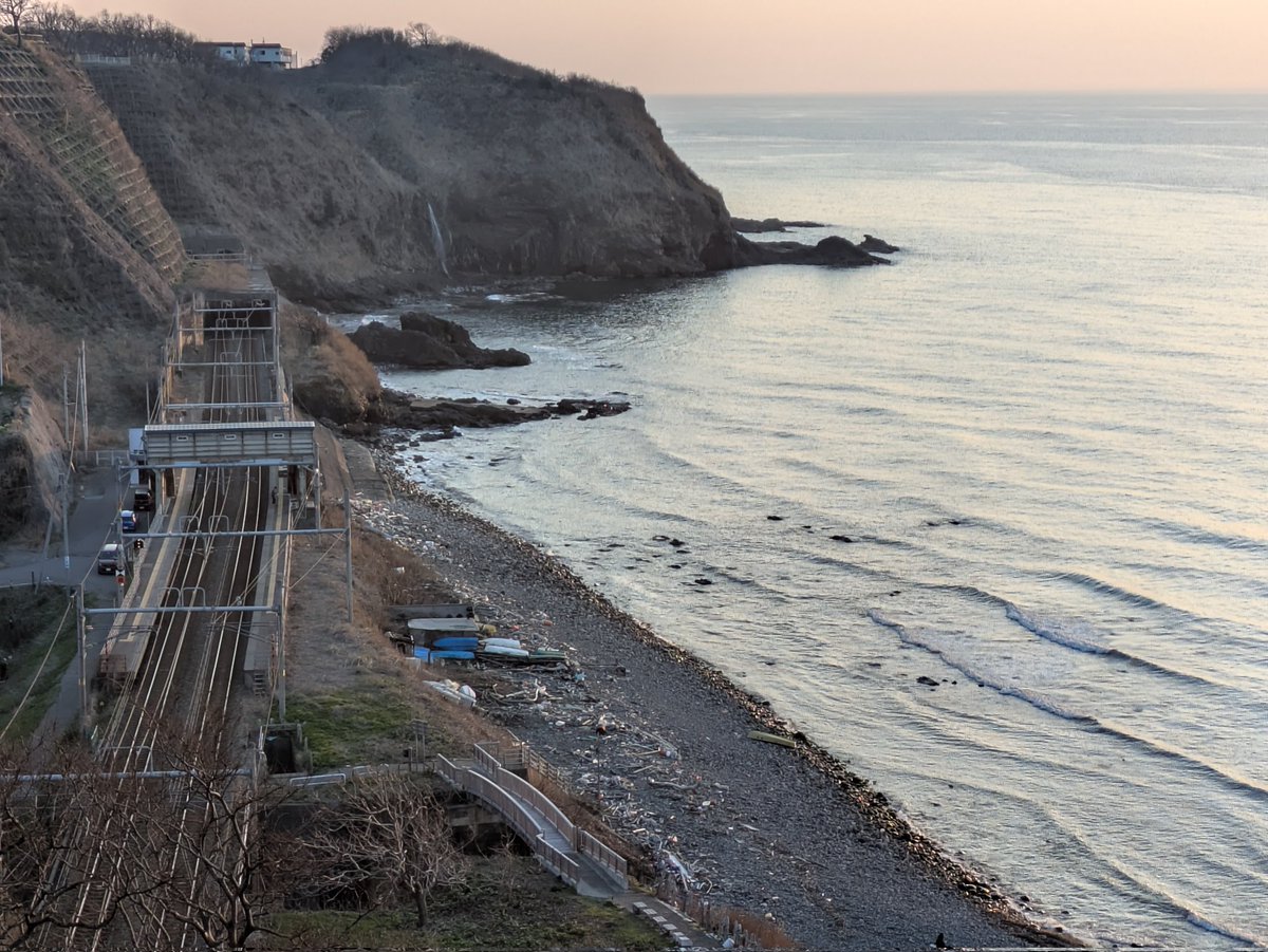 雪割草 tweet media