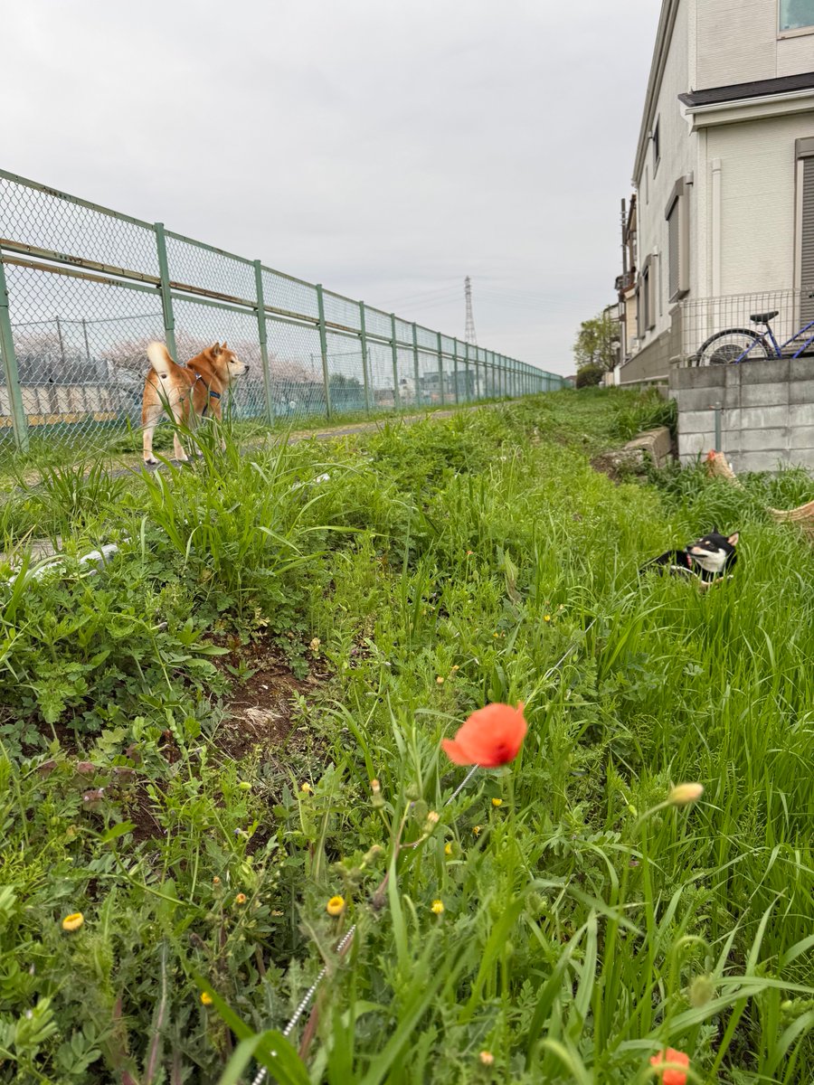 宮脇睦(みやわきあつし)@みやわきチャンネルLv.GoGo tweet media