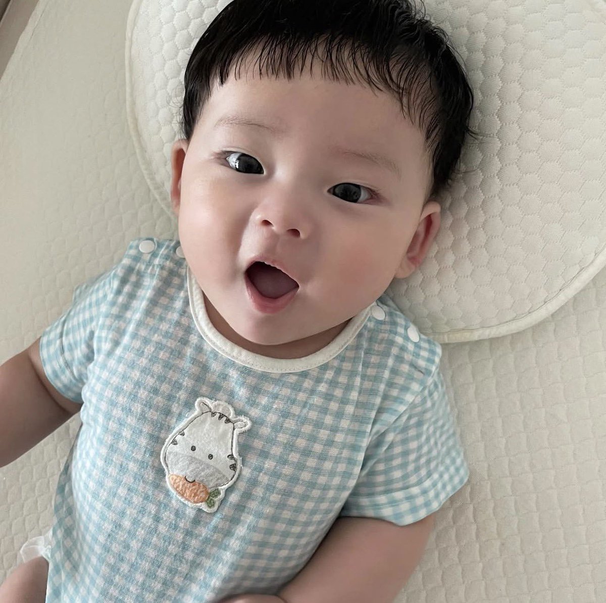 ✦ ━ ✞ ━ ✦ tweet media