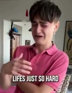 Porcupine tweet media