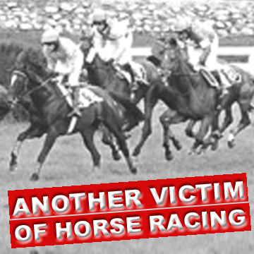 banbloodsports's tweet image. Another victim of horse racing: Confirmed DEAD - 9-year-old horse Quest With Speed who suffered a fall at Limerick racecourse on 31 March 2026. Jockey - Paddy Hanlon 
banbloodsports.wordpress.com/2021/08/19/hor… #YouBetTheyDie #RejectRacing