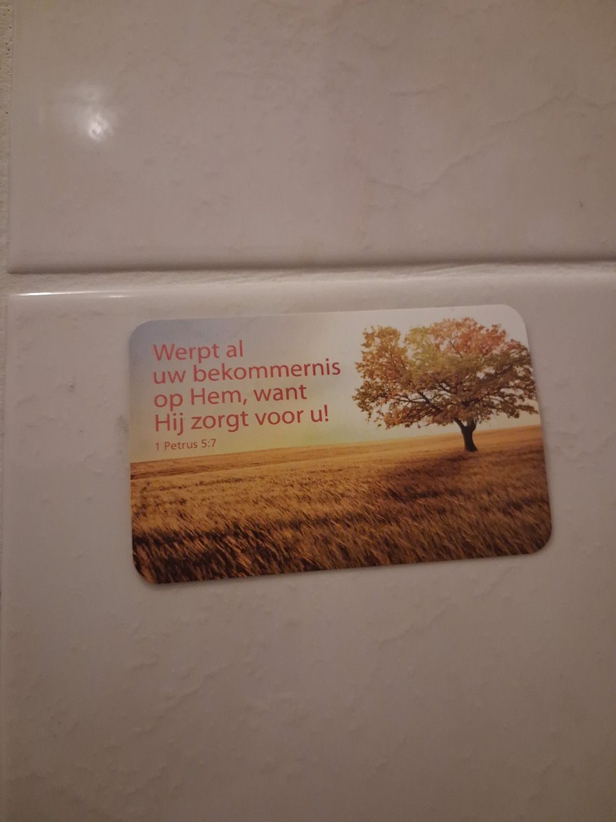 Vanja & Mila (づ ̄3 ̄)づ❤️ tweet media