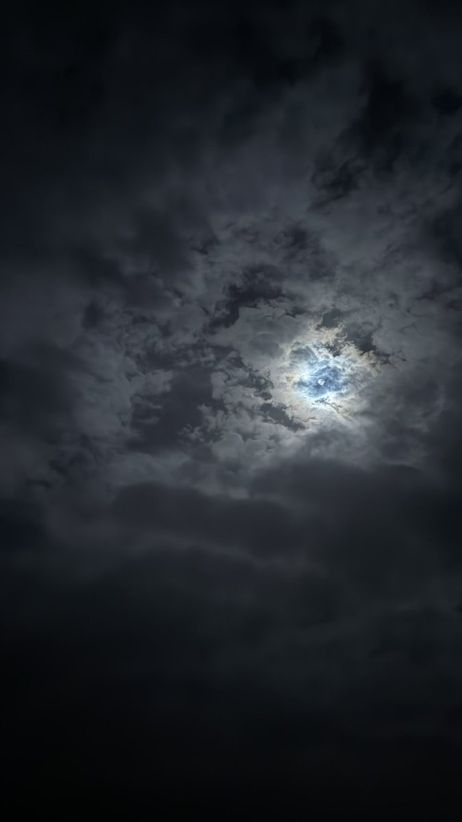 شُعلة tweet media