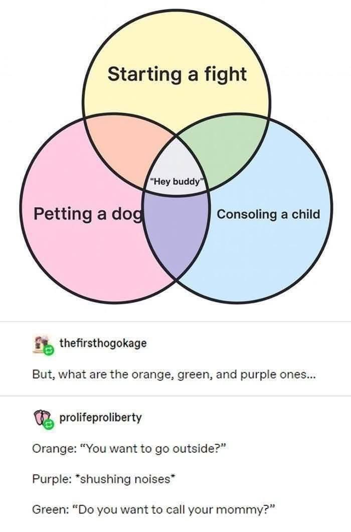 Rothmus 🏴 tweet media