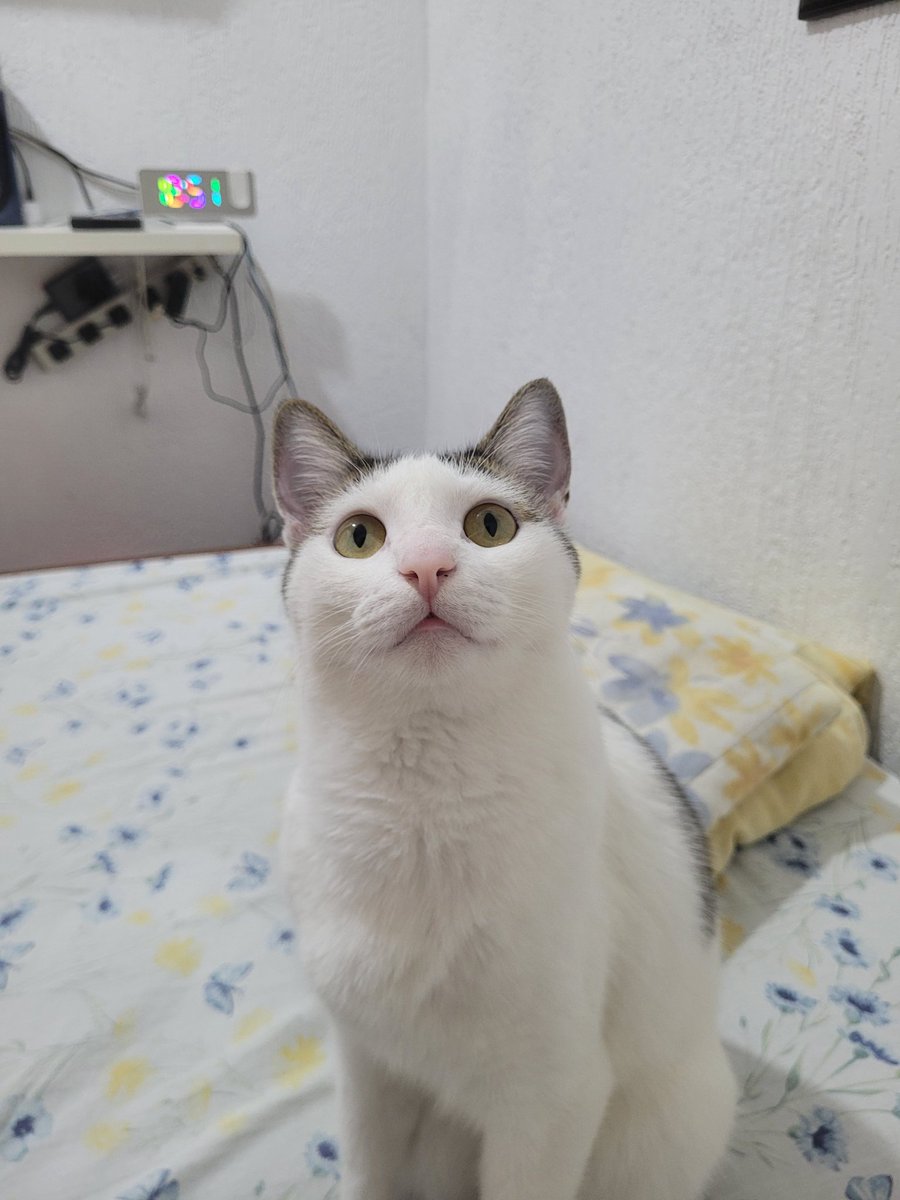 Matsilagi tweet media