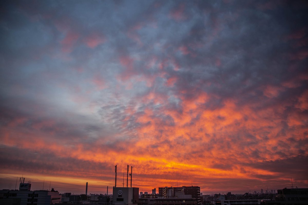 roncan0914 tweet media