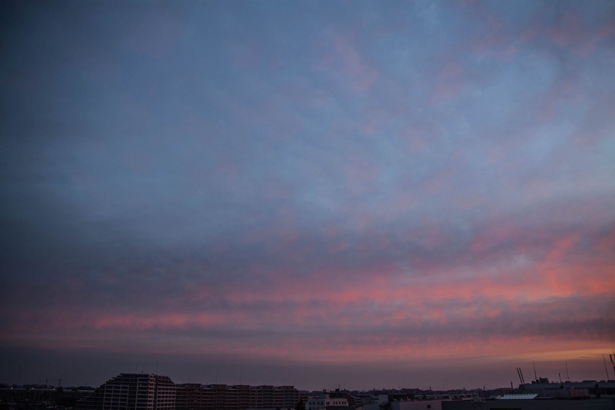 roncan0914 tweet media