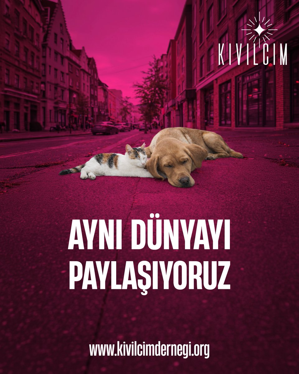 Kıvılcım Derneği tweet media