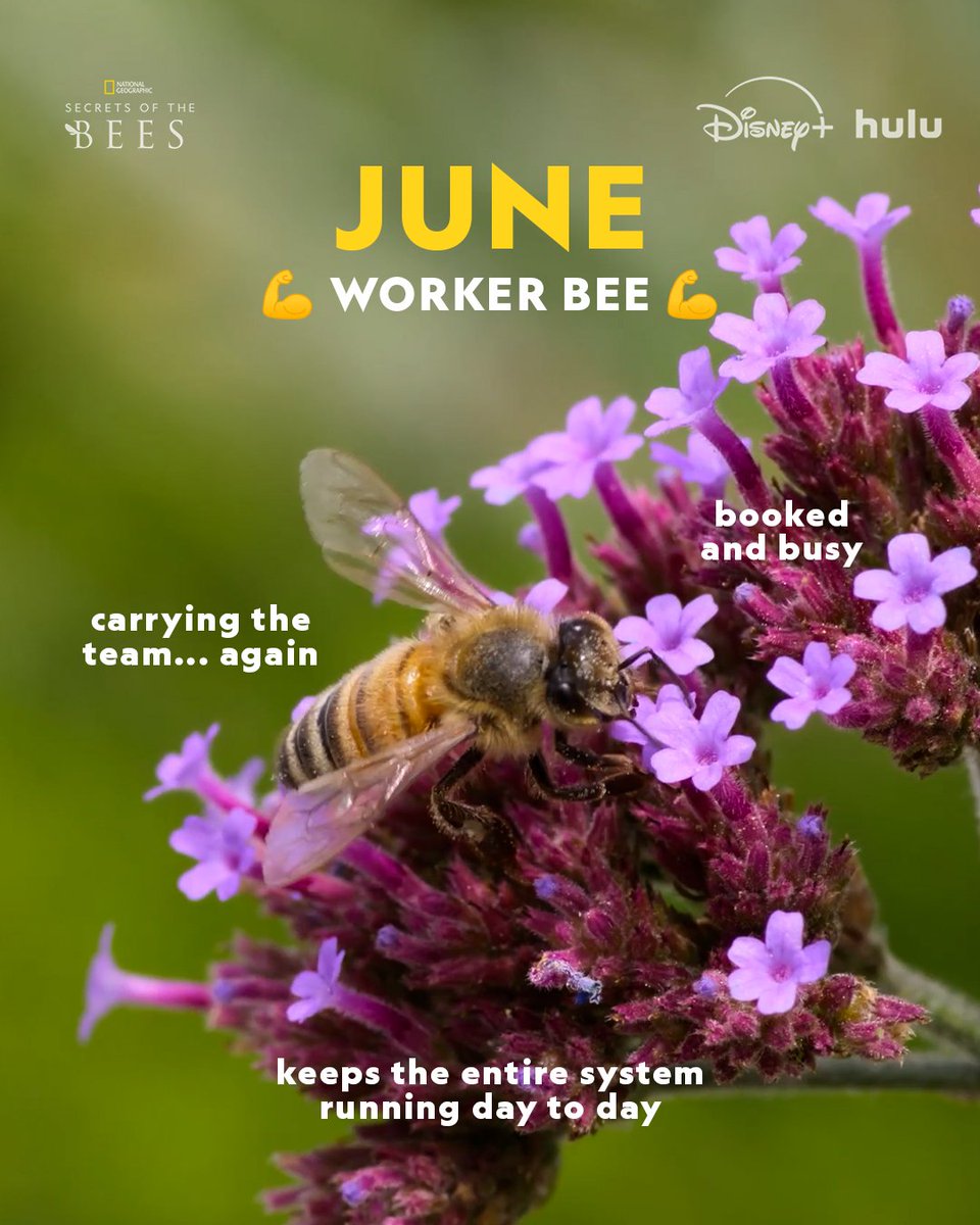 National Geographic tweet media