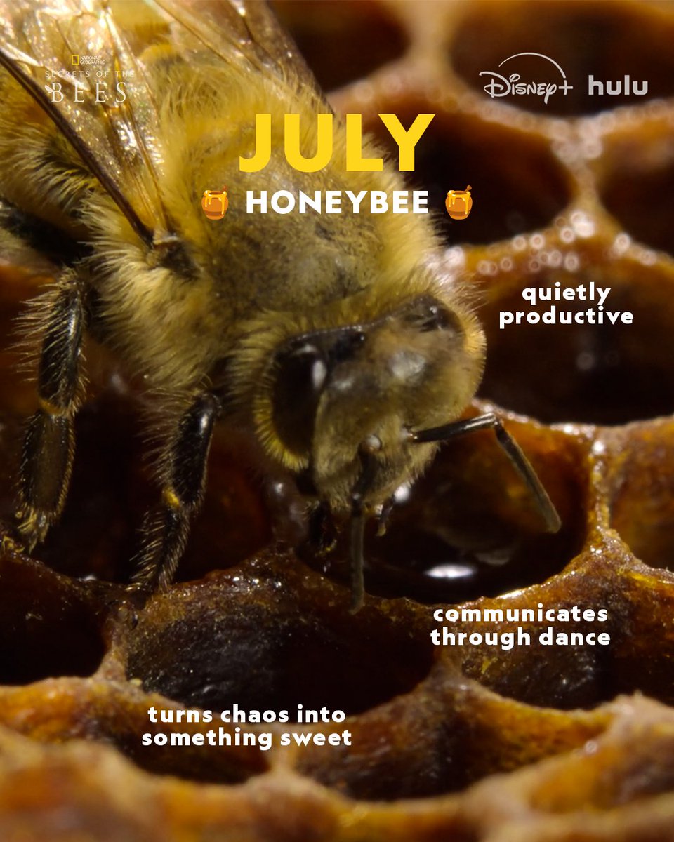 National Geographic tweet media