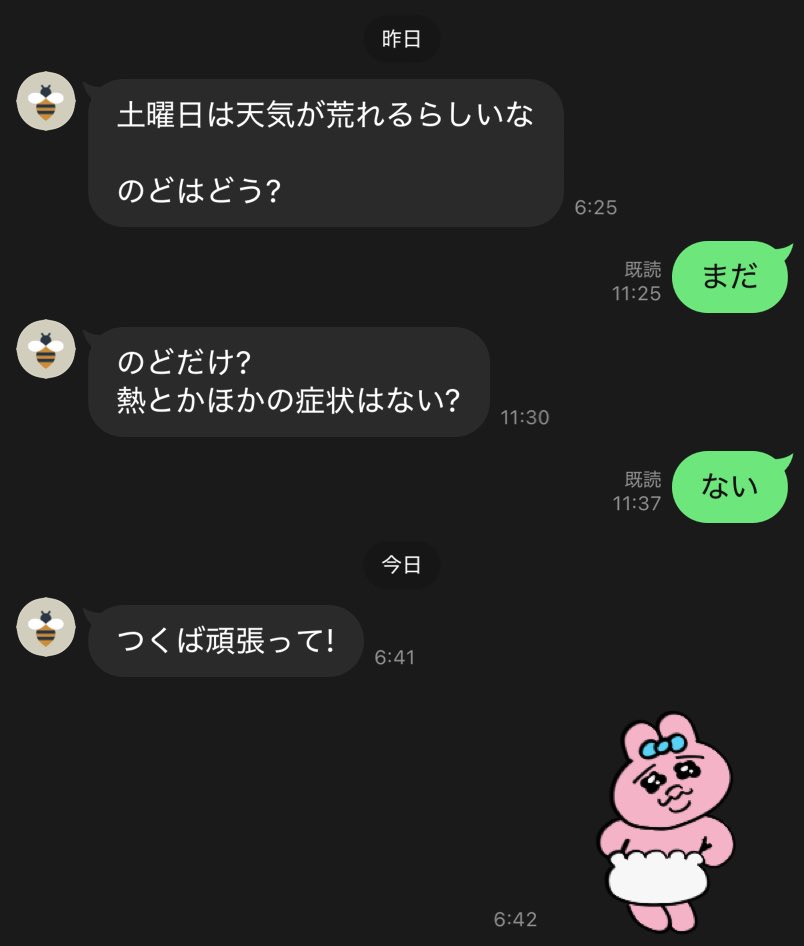 竹内さくら🌸 tweet media