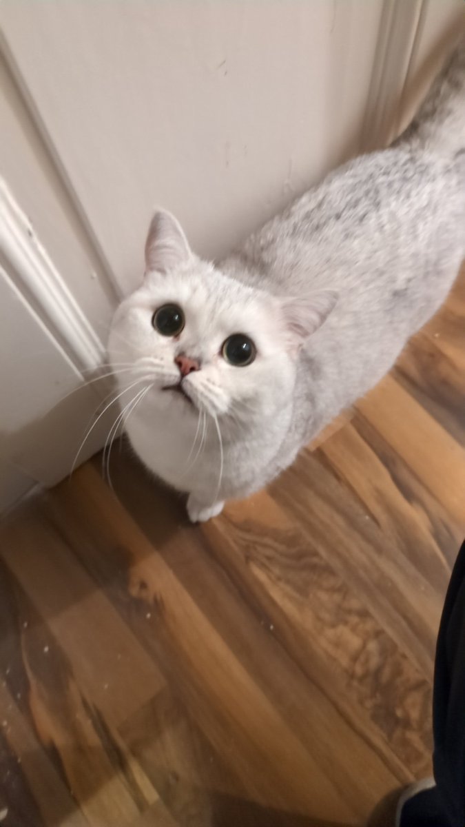 Dalinquent 🛃 tweet media